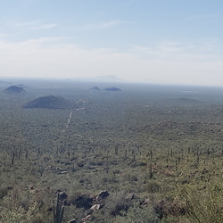 Arizona 2022